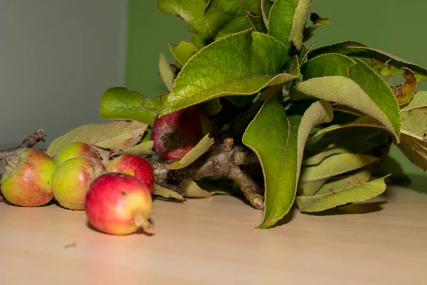 Rote Und Grüne Äpfel Mit Blättern Nahsicht — Stockfoto