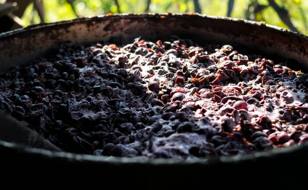 Nahaufnahme Der Traubenfermentation Konzept Der Weinherstellung — Stockfoto