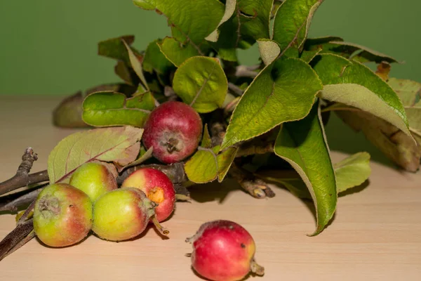 Rote Und Grüne Äpfel Mit Blättern Nahsicht — Stockfoto