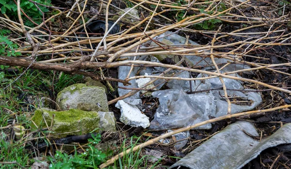 Tas Ordures Dans Forêt — Photo