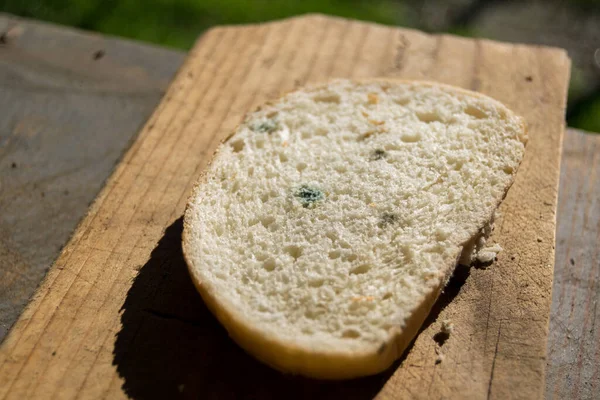 Close View Piece Bread Partly Moldy — Stock Photo, Image