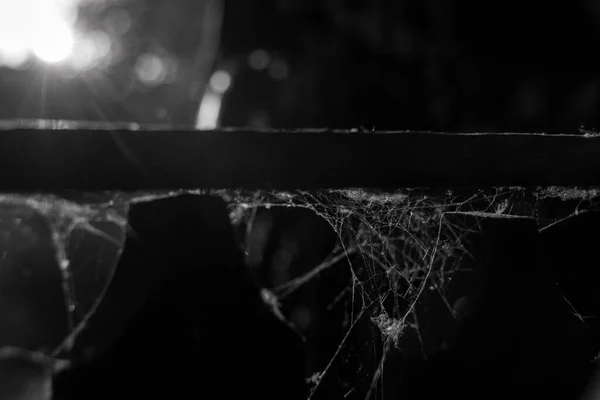木制栅栏上的蜘蛛网 背景上闪烁着阳光 — 图库照片