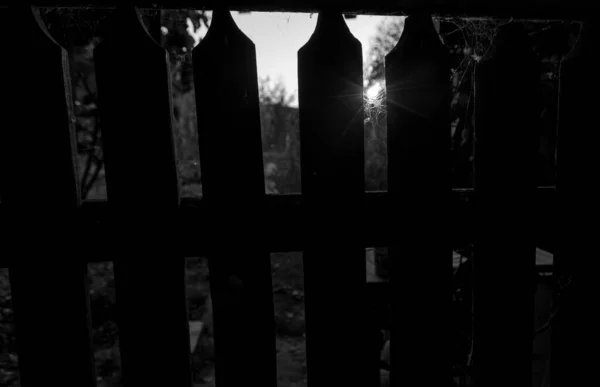 木製の柵の上に太陽が輝いていて — ストック写真
