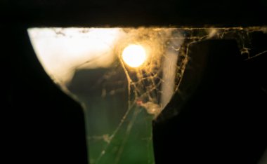 Ahşap çitte örümcek ağı, arka planda güneş parlıyor.