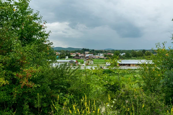 beautiful view of the city with green nature