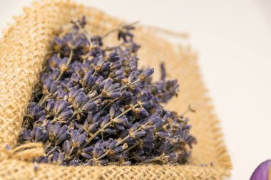 Lavanta çuvalı içinde ışığa doğru