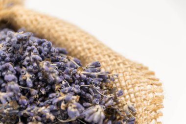 Lavanta çuvalı içinde ışığa doğru