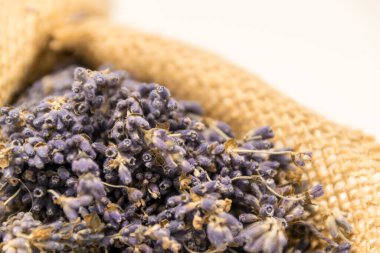 Lavanta çuvalı içinde ışığa doğru