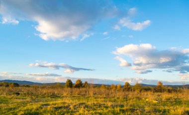 Çayırda güzel bir gün batımı