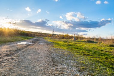 Çayırda güzel bir gün batımı