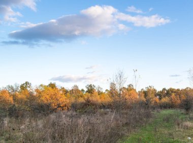 Çayırda güzel bir gün batımı