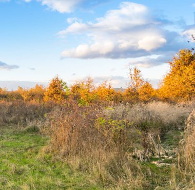 Çayırda güzel bir gün batımı