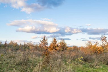 Çayırda güzel bir gün batımı