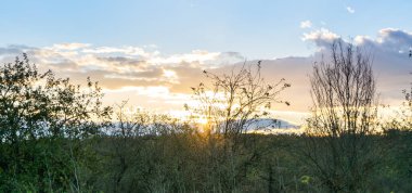 Çayırın arka planında güzel bir günbatımı