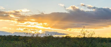 Çayırın arka planında güzel bir günbatımı