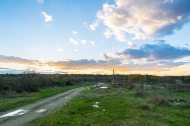Çayırın arka planında güzel bir günbatımı