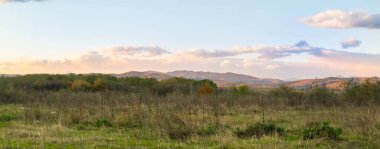Çayırda güzel bir gün batımı