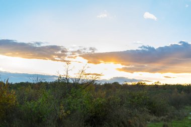 Çayırın arka planında güzel bir günbatımı