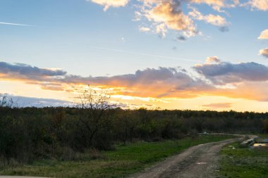 Çayırın arka planında güzel bir günbatımı