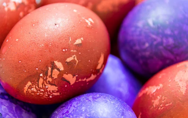 Colored Easter Eggs White Background — Stock Photo, Image