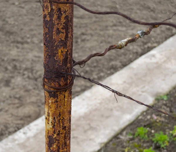 錆びた金属線フェンス — ストック写真