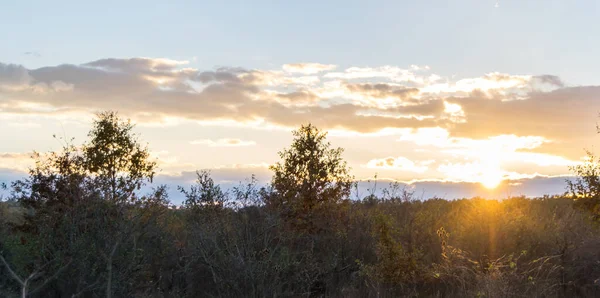 Magnifique Coucher Soleil Dans Fond Prairie — Photo