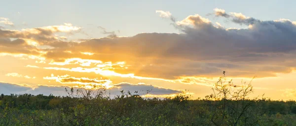 Mooie Zonsondergang Achtergrond Van Weide — Stockfoto