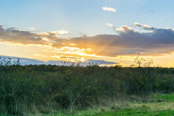 Красивий Захід Сонця Фоні Лугу — стокове фото