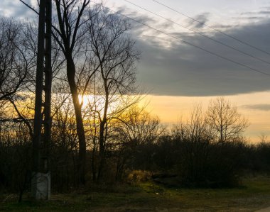 Ormanda güzel bir gün batımı