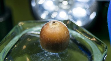 close up of acorn on the glass