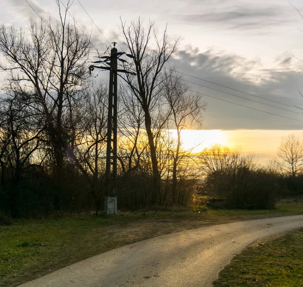 Prachtige Zonsondergang Het Bos — Stockfoto