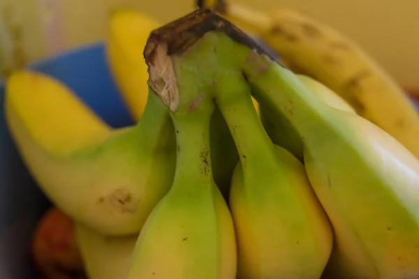 Färska Bananer Gäng Närbild — Stockfoto