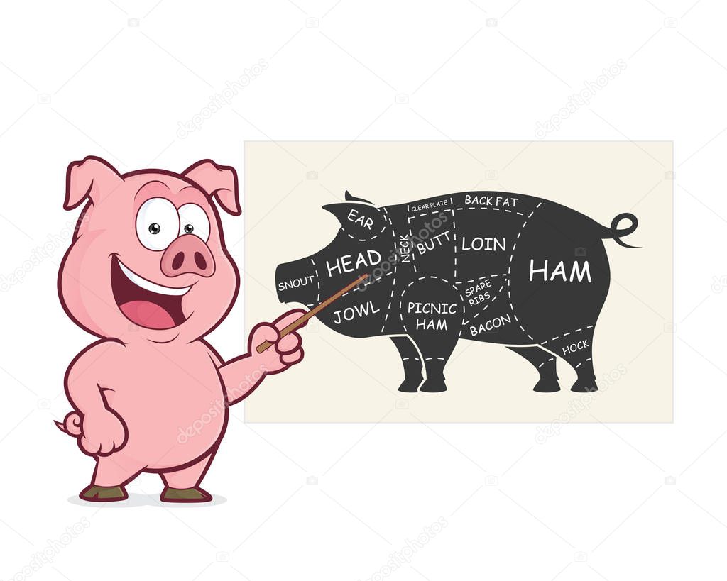 Pork cuts presentation