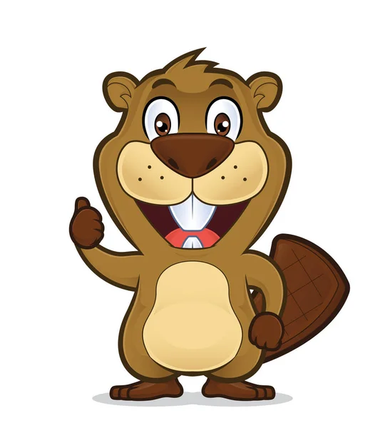 Beaver giving thumbs up — Stock Vector