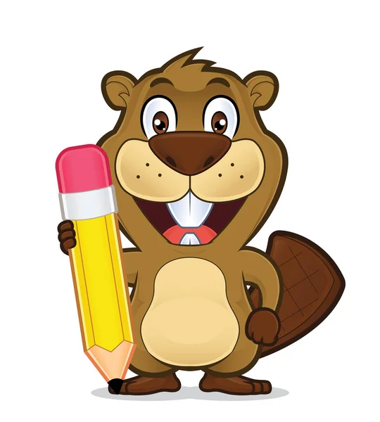 Beaver holding a pencil — Stock Vector