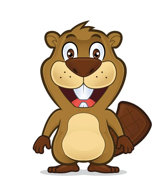 Smiling beaver standing — Stock Vector