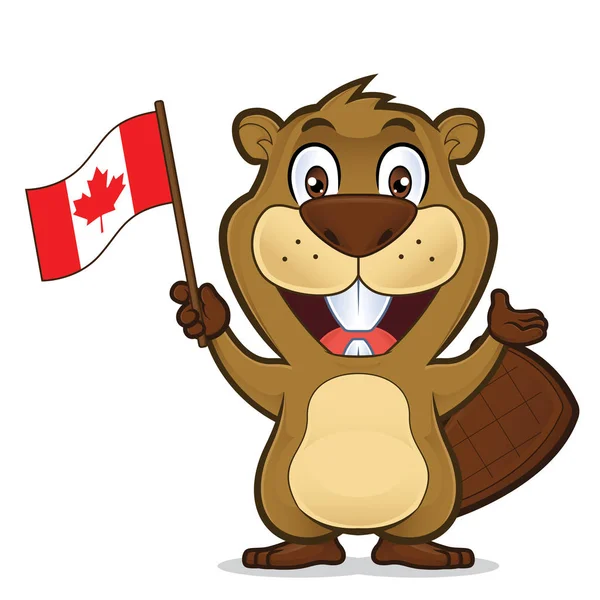 Castor tenant le drapeau canadien — Image vectorielle