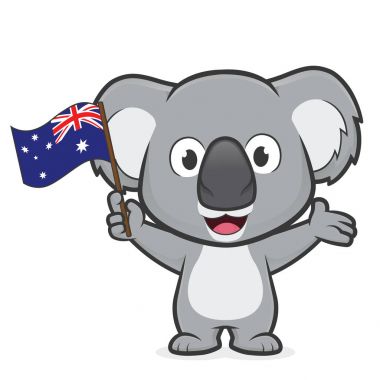 Koala holding Avustralya bayrağı