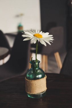 Bir vazoda papatya tablodur