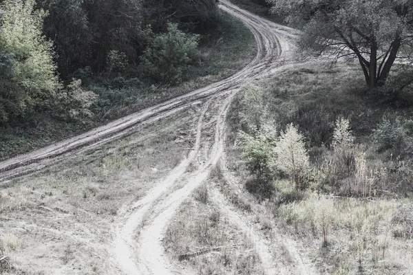 Many roads in the forest leading to nowhere. We ourselves choose the road on which to go.