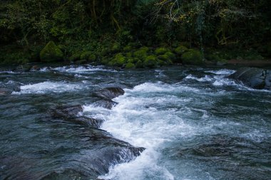 Machachela Ulusal Parkı 'nda Küçük Şelaleli Nehir