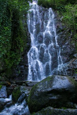 Ormanda Mirveti Şelalesi Batum Georgia Açık Hava