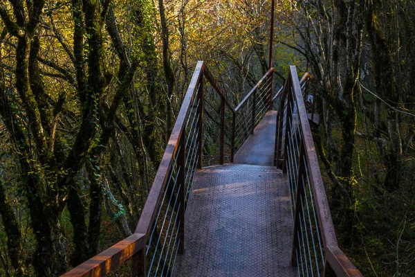 Puente de metal Okatse Kanyon Kutaisi Georgia — Foto de Stock