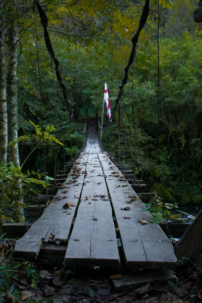 Brücke Wald Batumi georgia machahela Nationalpark — Stockfoto