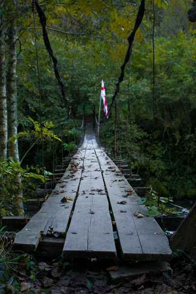 Puente Bosque Batumi Georgia Parque Nacional Machahela — Foto de Stock