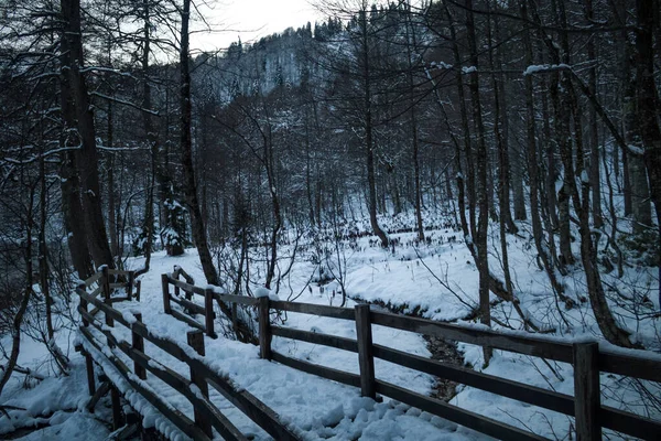 Köprü Artvin Karagol Türkiye Pamuk Prenses — Stok fotoğraf