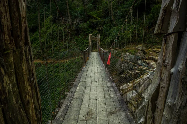Puente Frorest Árboles Artvin Menchuna Cascada — Foto de Stock