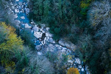 Nehir Ormanı Havadan Görünüm Taşları Ağaçları