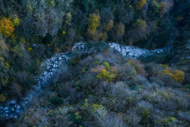 Nehir Ormanı Havadan Görünüm Taşları Ağaçları