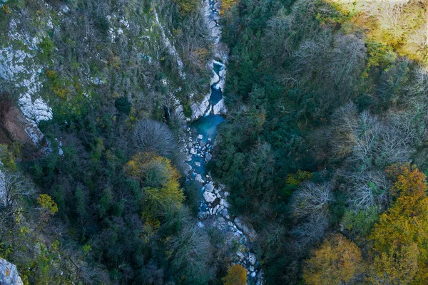 Folyami erdő légi kilátó kövek fák — Stock Fotó